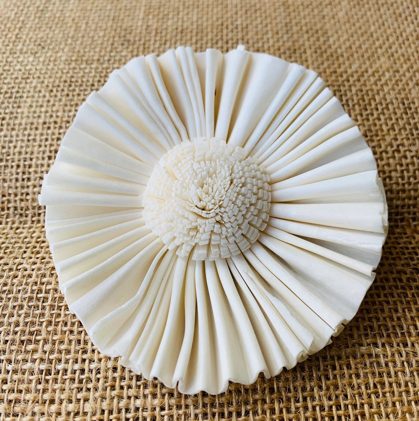 Fan Sunflower 4" Case