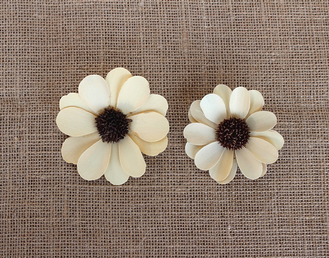 Palm Belle Flower