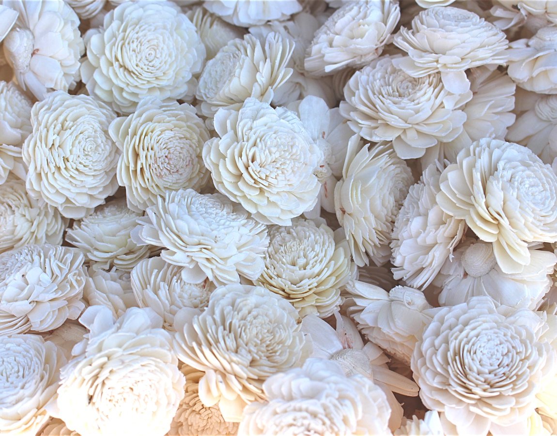 50 Sola Dalia Flowers Bundle