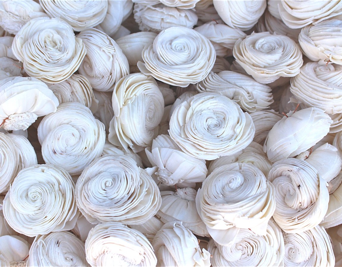 50 Sola Shell Flowers Bundle - Sola Wood Flowers