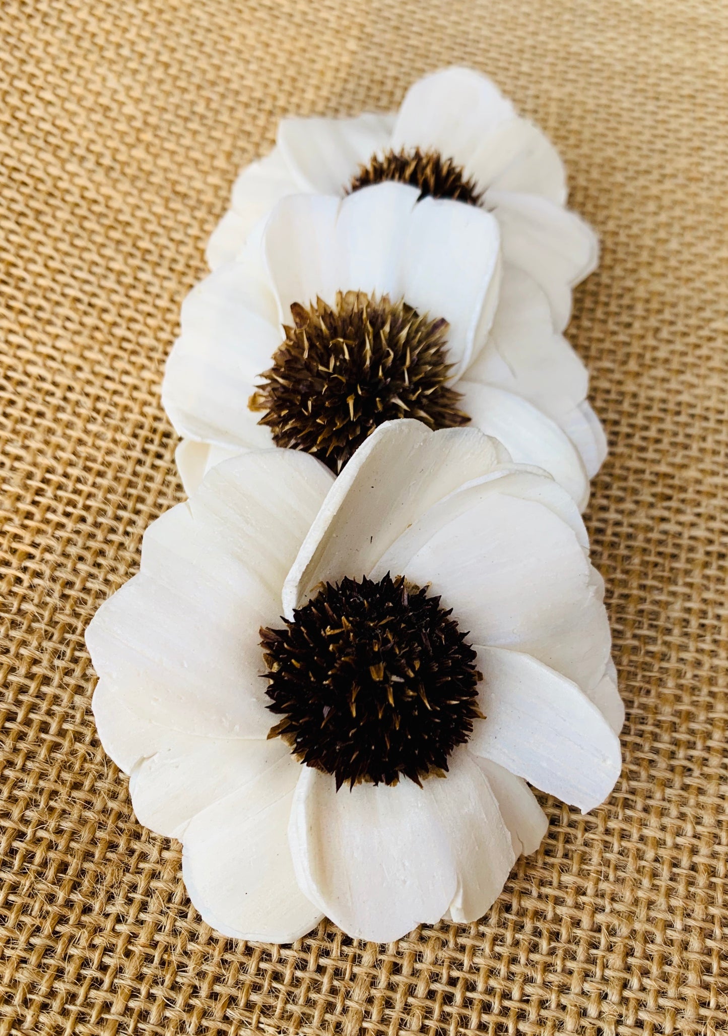 Sola Paradise Flower