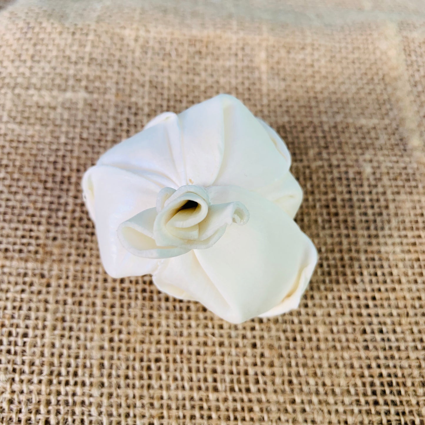 Sola Regal Rose - Divine Collection