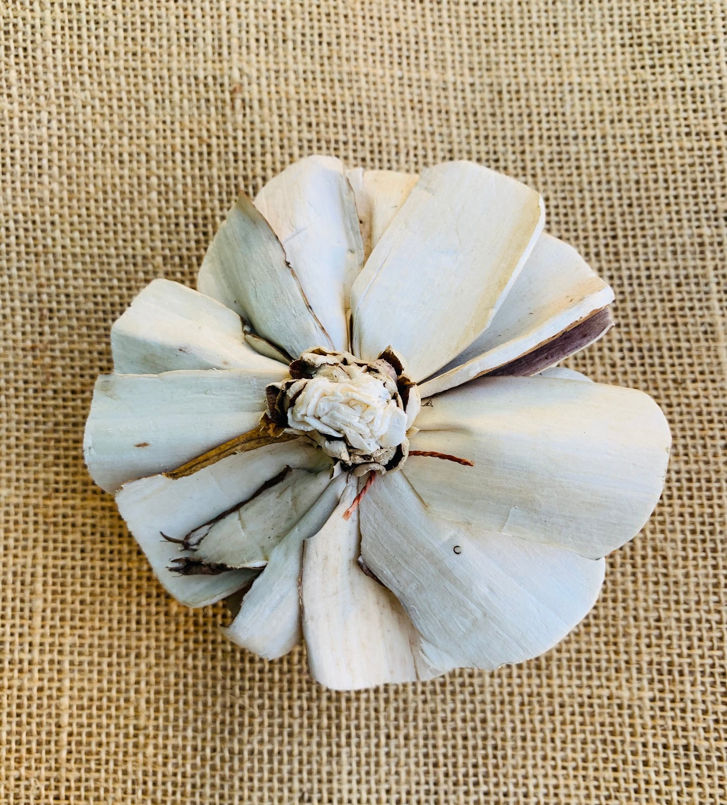 Sola Beauty Rosey Skin Wholesale