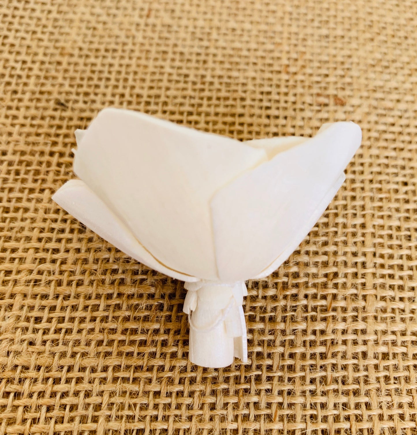 Sola Sweetness Flower - 1 Dozen Wholesale