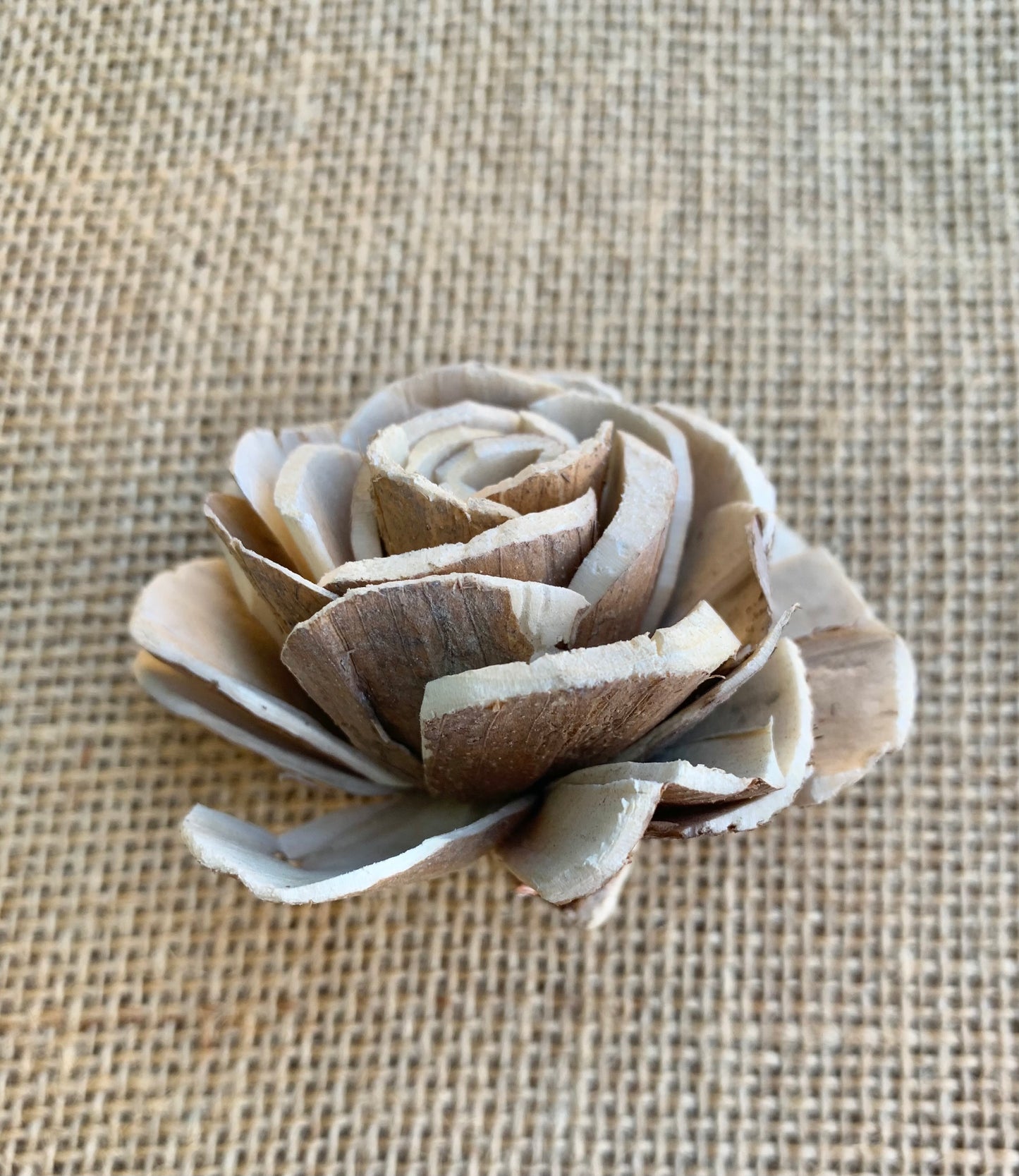 Sola Rosey Skin Flower - 1 Dozen