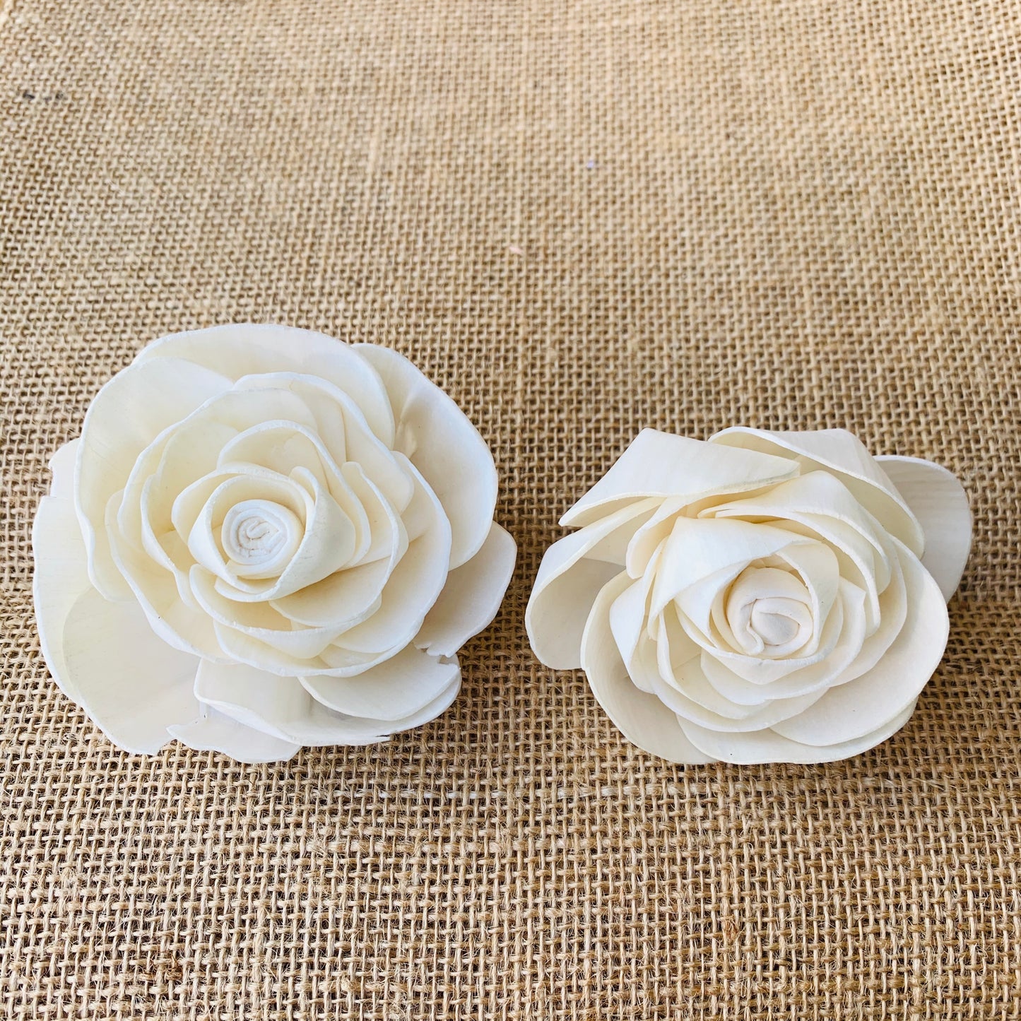 Sola Forever Rose Wholesale