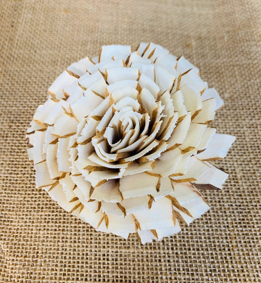 Coconut Rose 2.5" Case