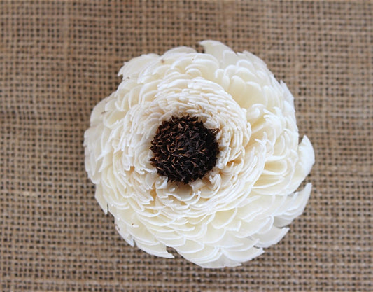 Sola Wood Flowers - Sola Milky Way Daisy Flower