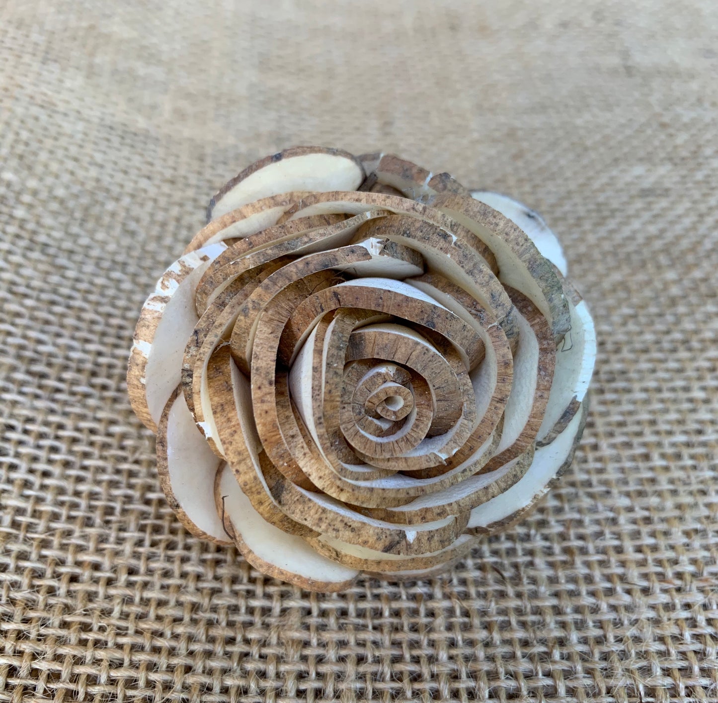 Sola Almond Rose