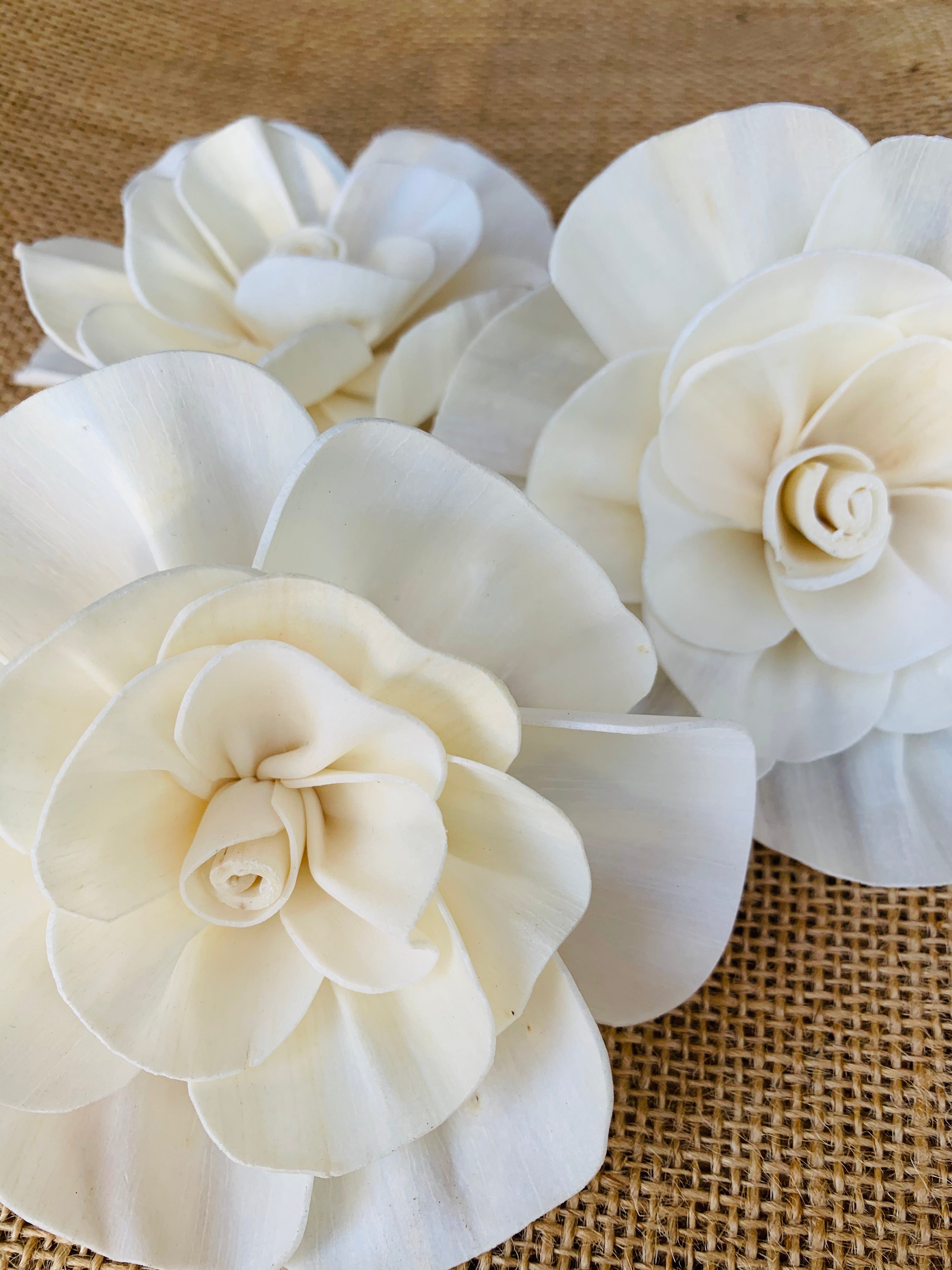 Beautiful Paper Roses tutorial for Valentine's Day, wedding