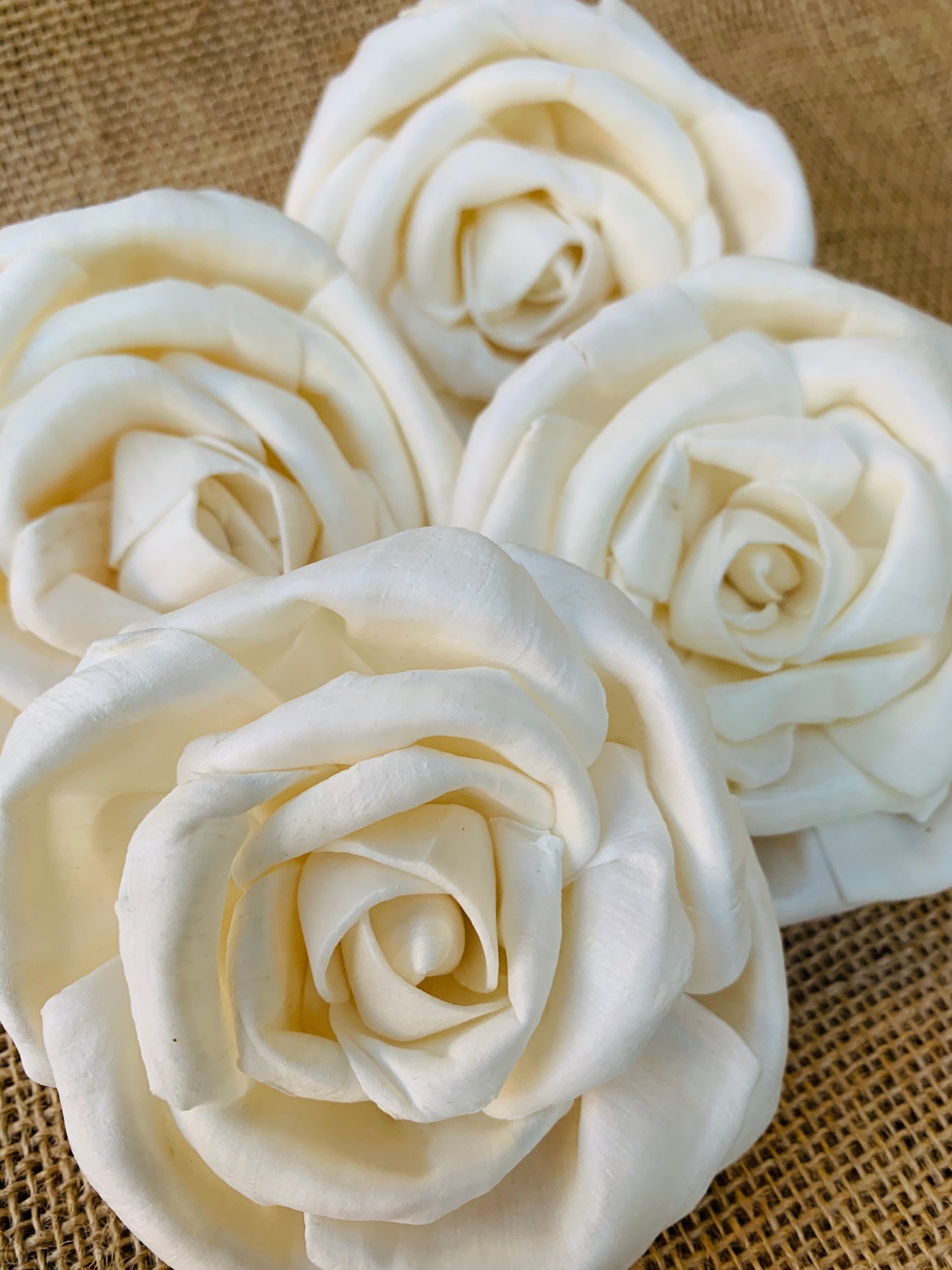 Sola Majestic Rose - Divine Collection Wholesale