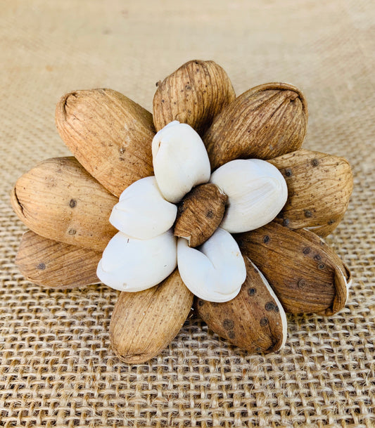 Sola Almond Button