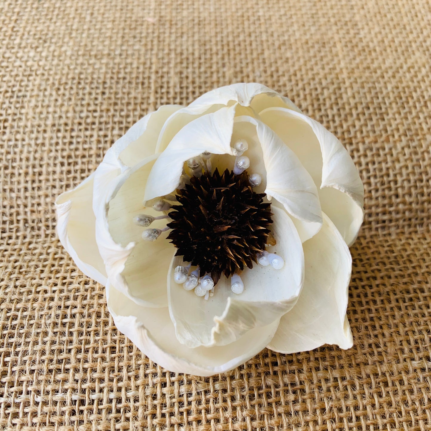 Sola Queen Peony Flower (White Pearls) - Divine Collection