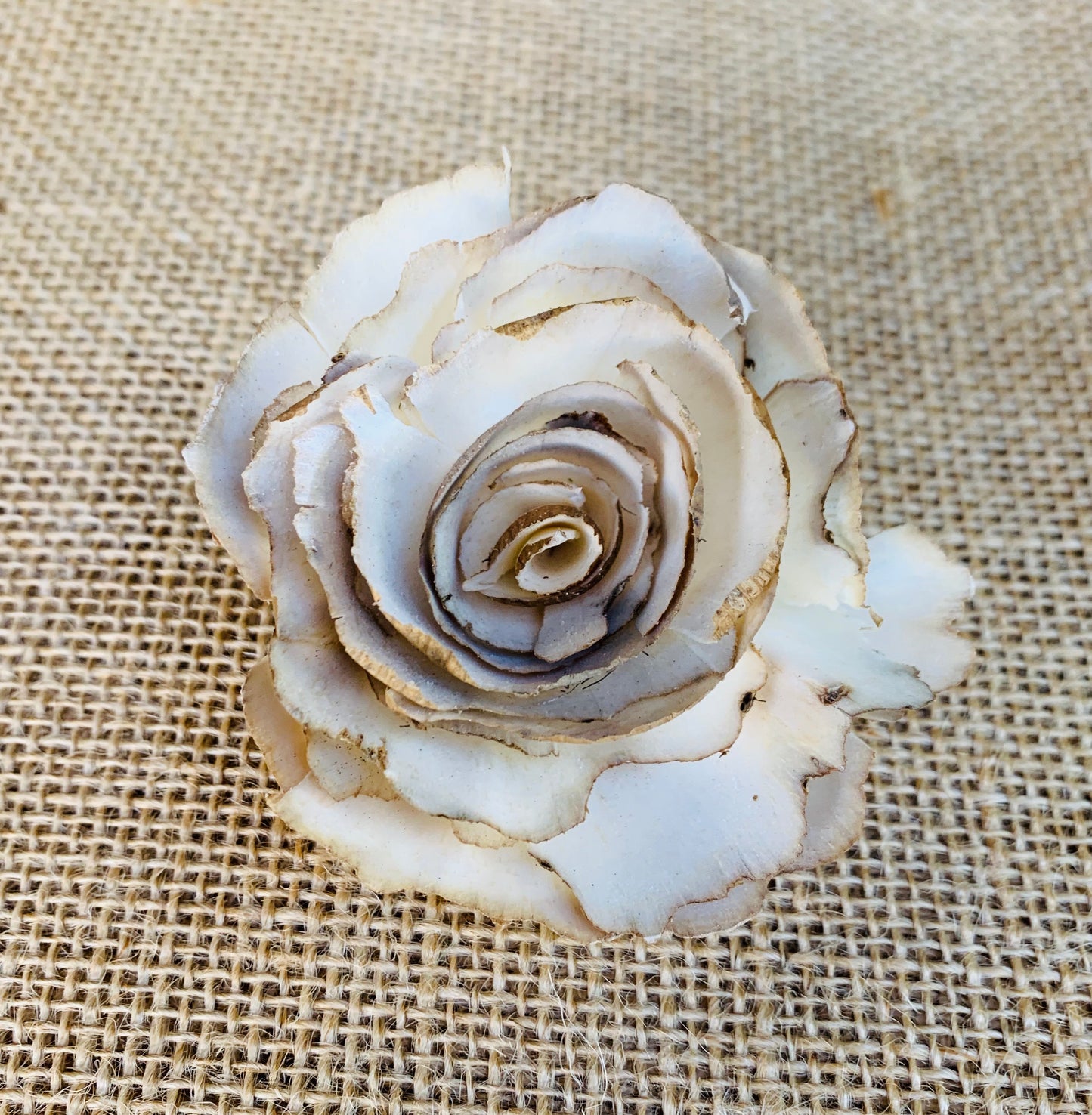 Sola Angel Almond Rose