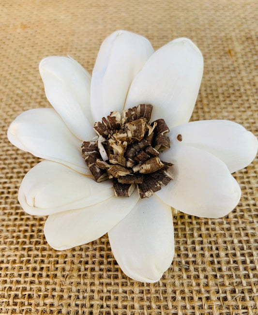 Sola Hazel Flower Wholesale