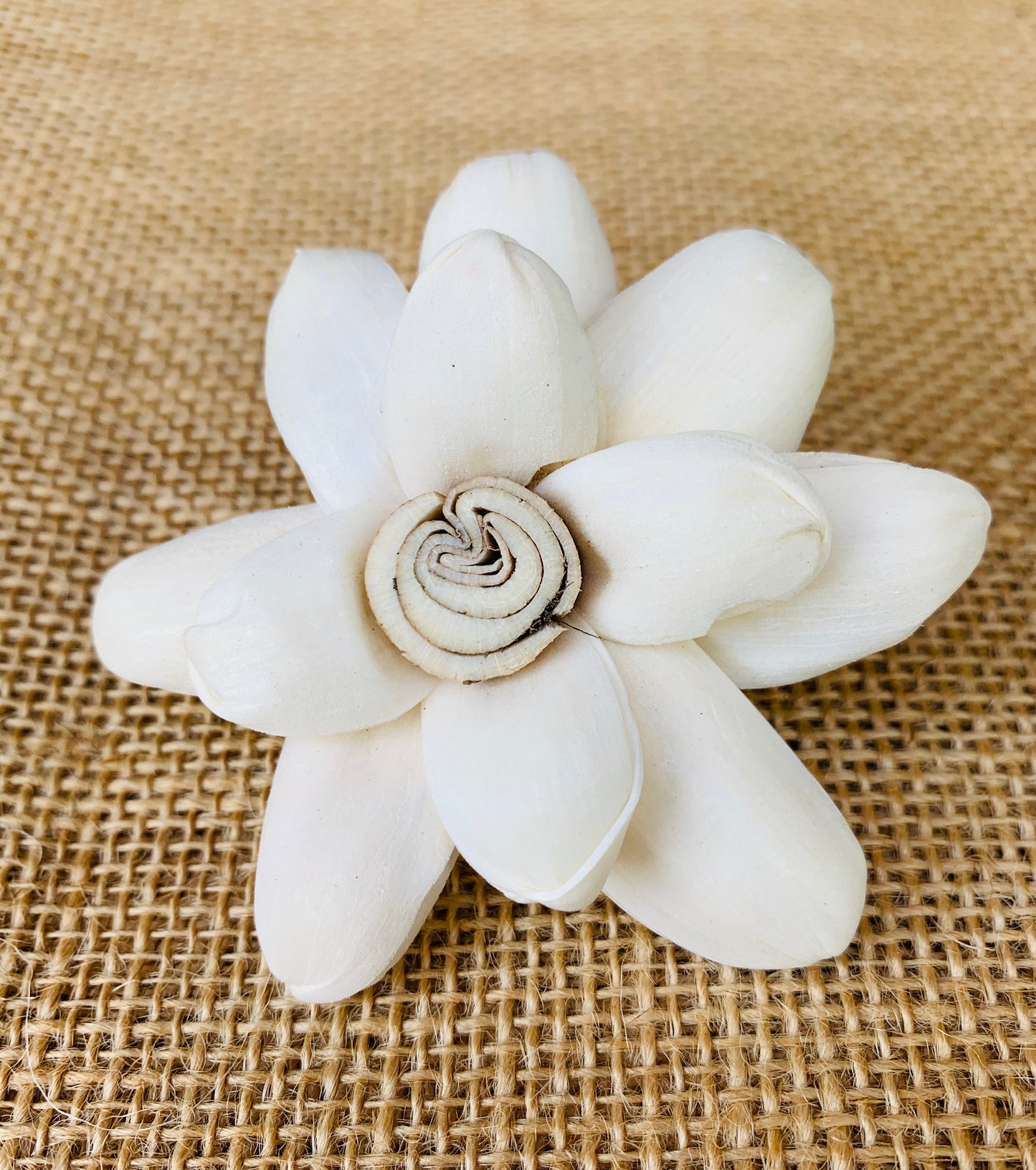 Sola Hazel Swirl Flower Wholesale