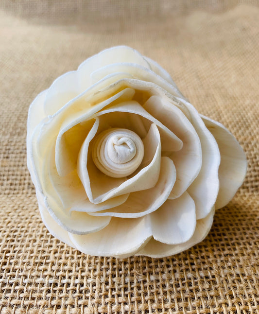 Sola Buttercup Rose Wholesale