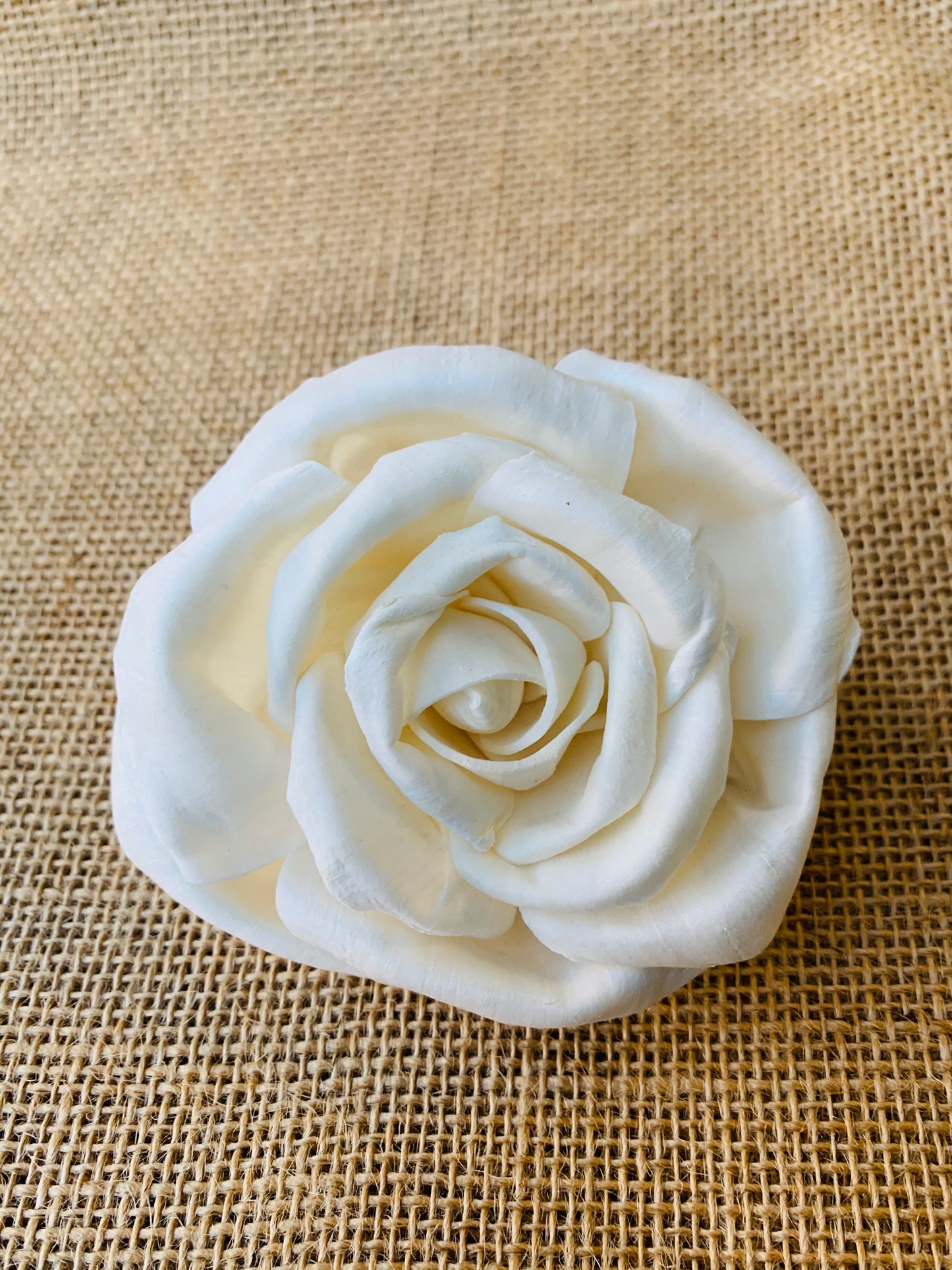 Sola Majestic Rose - Divine Collection Wholesale