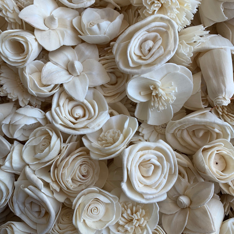 Sola Wood Flowers Bulk - Carnation - Oh! You're Lovely - Sola Wood Flowers