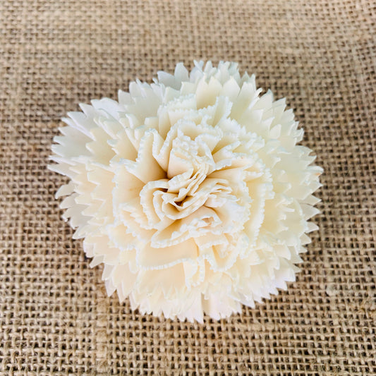 Sola Carnation Flower Wholesale