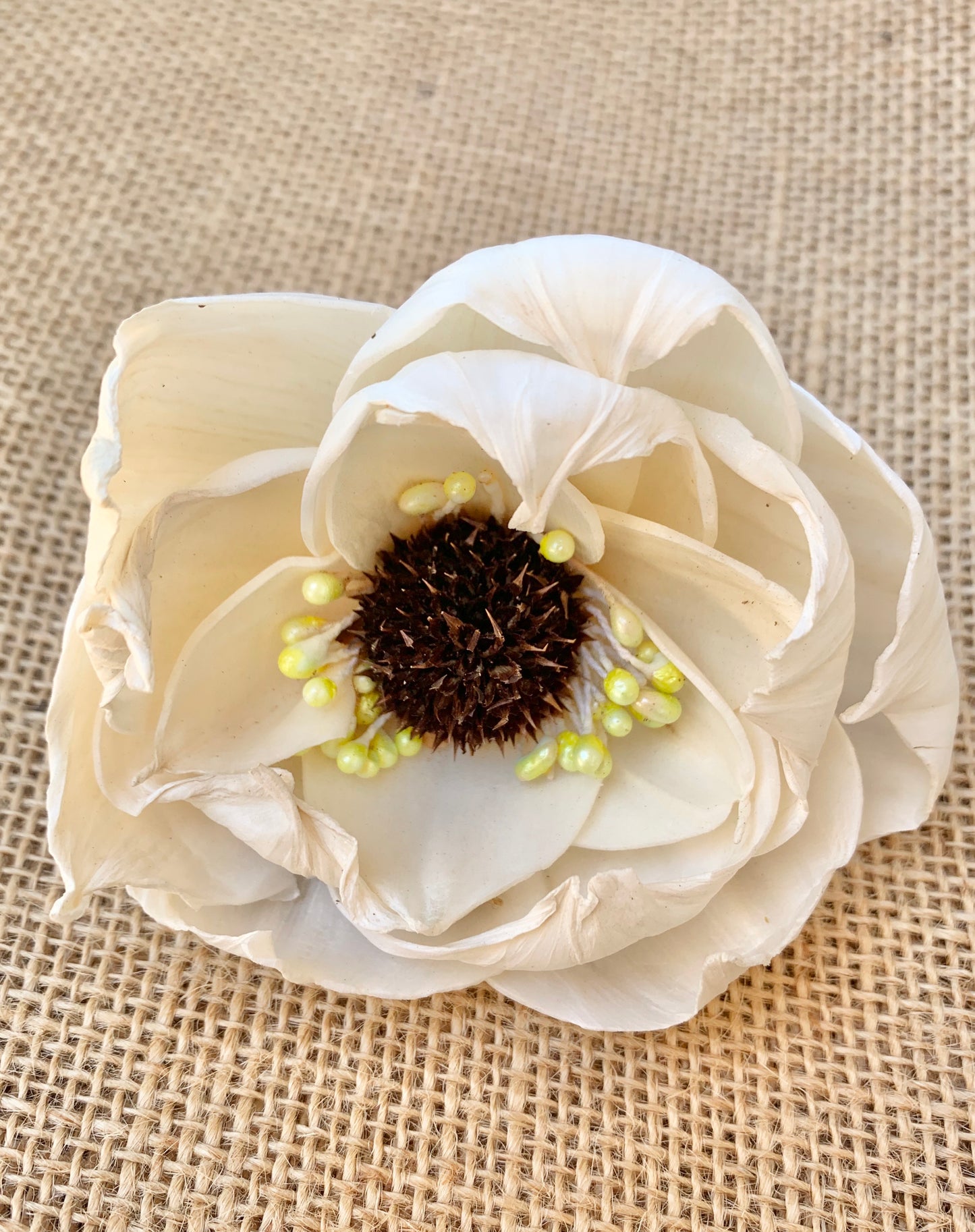 Sola Queen Peony Flower (Yellow Pearls)