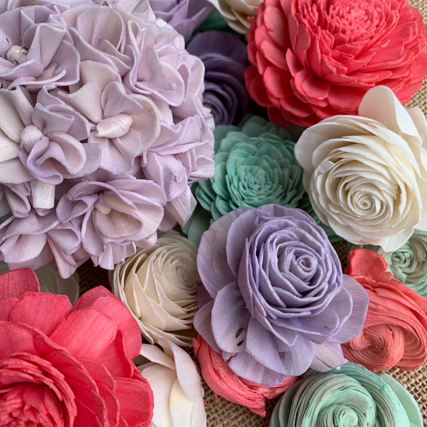 Blush Bloom Assortment